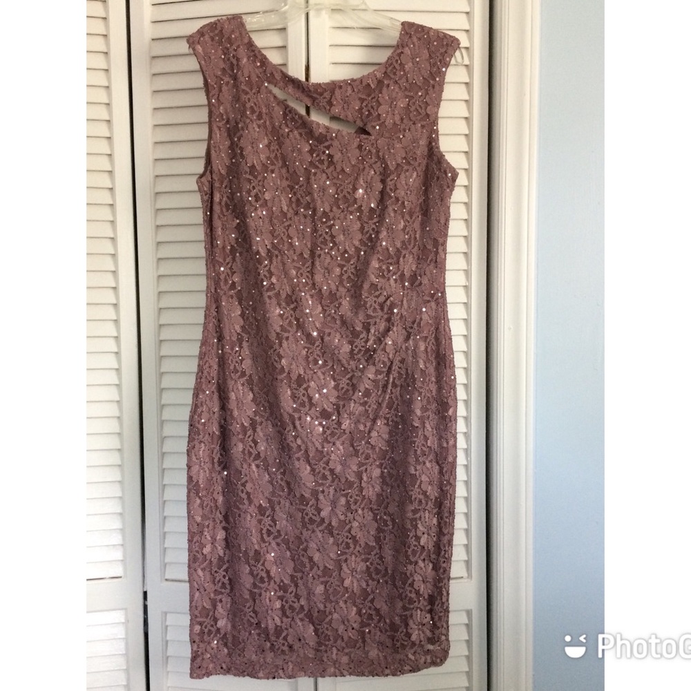 NWT Dressbarn Sleeveless Sparkly Mauve Dress